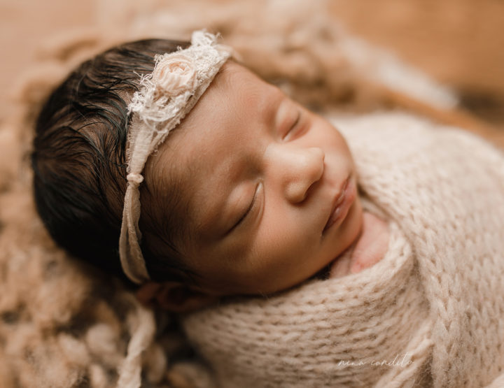 Newborn Photographer Boston